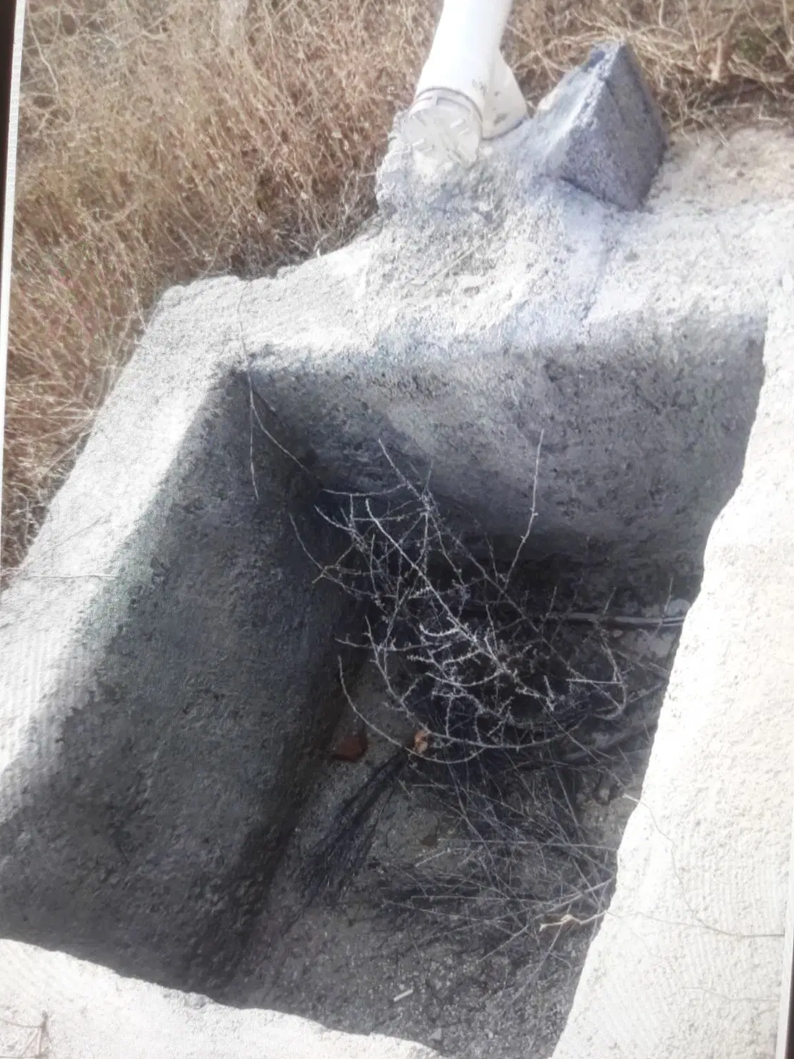زمین زراعی روستای کردلر
