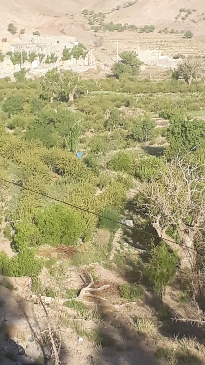 خانه ویلایی درروستای کاکان خوش اب وهوا