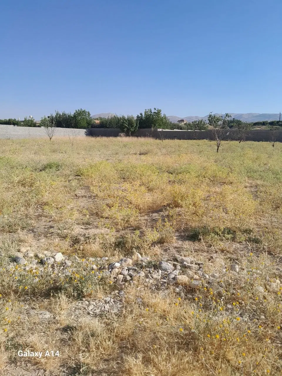 فروش زمین کشاورزی ۲۴۰۰ متری کمربندی جدید خانزنیان