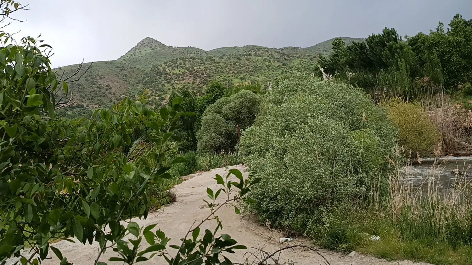 فروش باغ