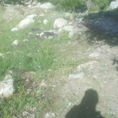 زمین مسکونی