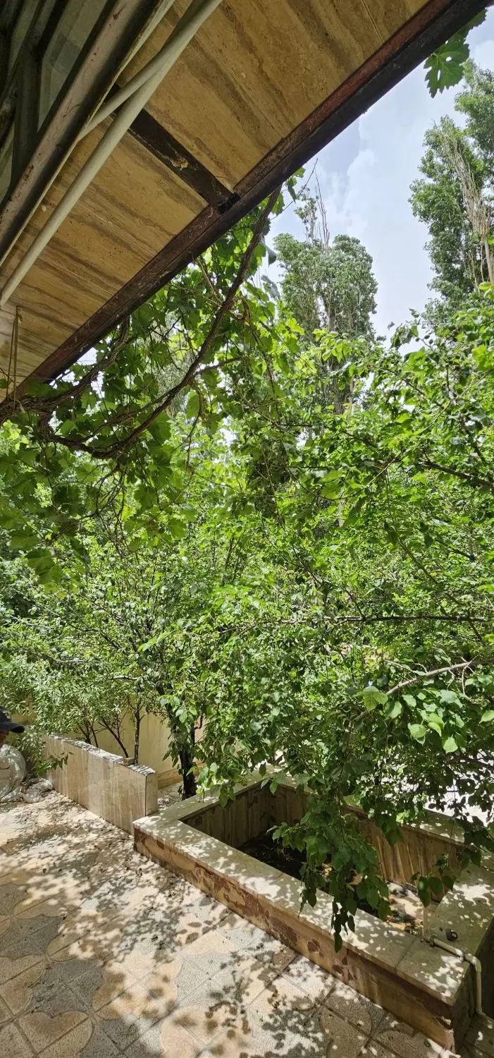 ویلا سعید اباد سرسبز و دنج