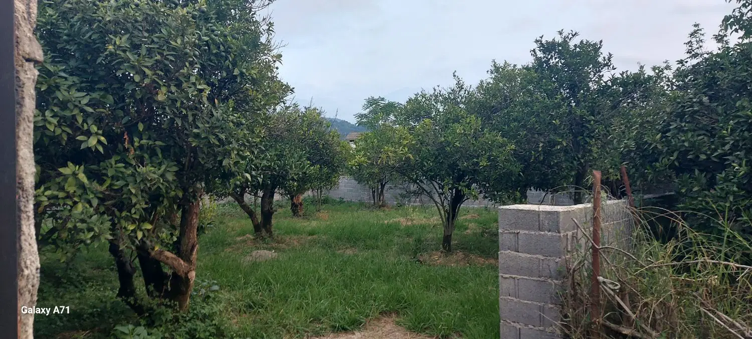 ۳۰۰ متر مسکونی واجارگاه