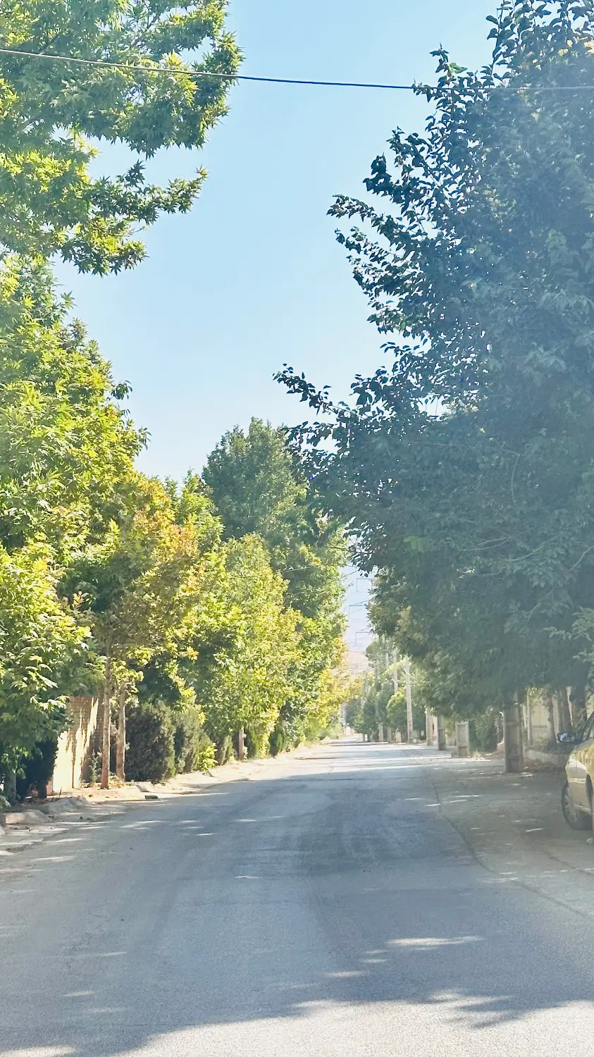 فرصت بی نظیر خرید باغ در گود گویم
