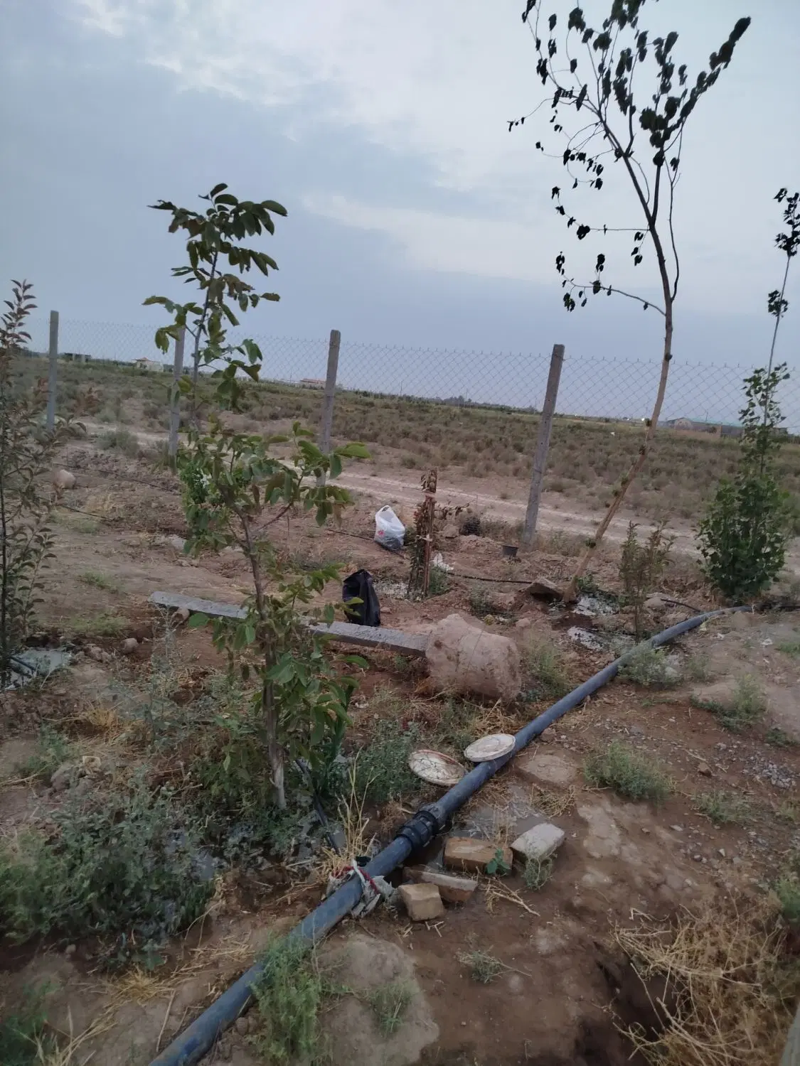 باغچه ۵۰۰متری معاوضه با خودرو