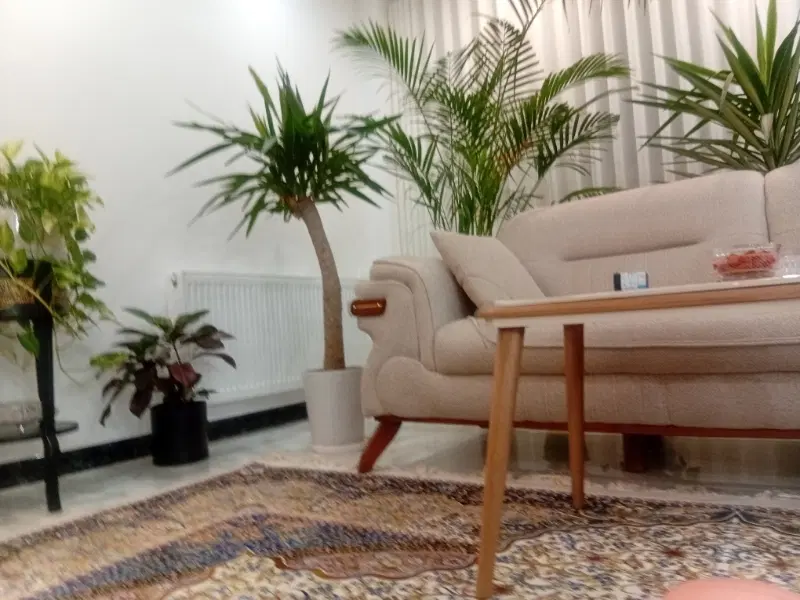 اجاره الغدیر ۵۲متری