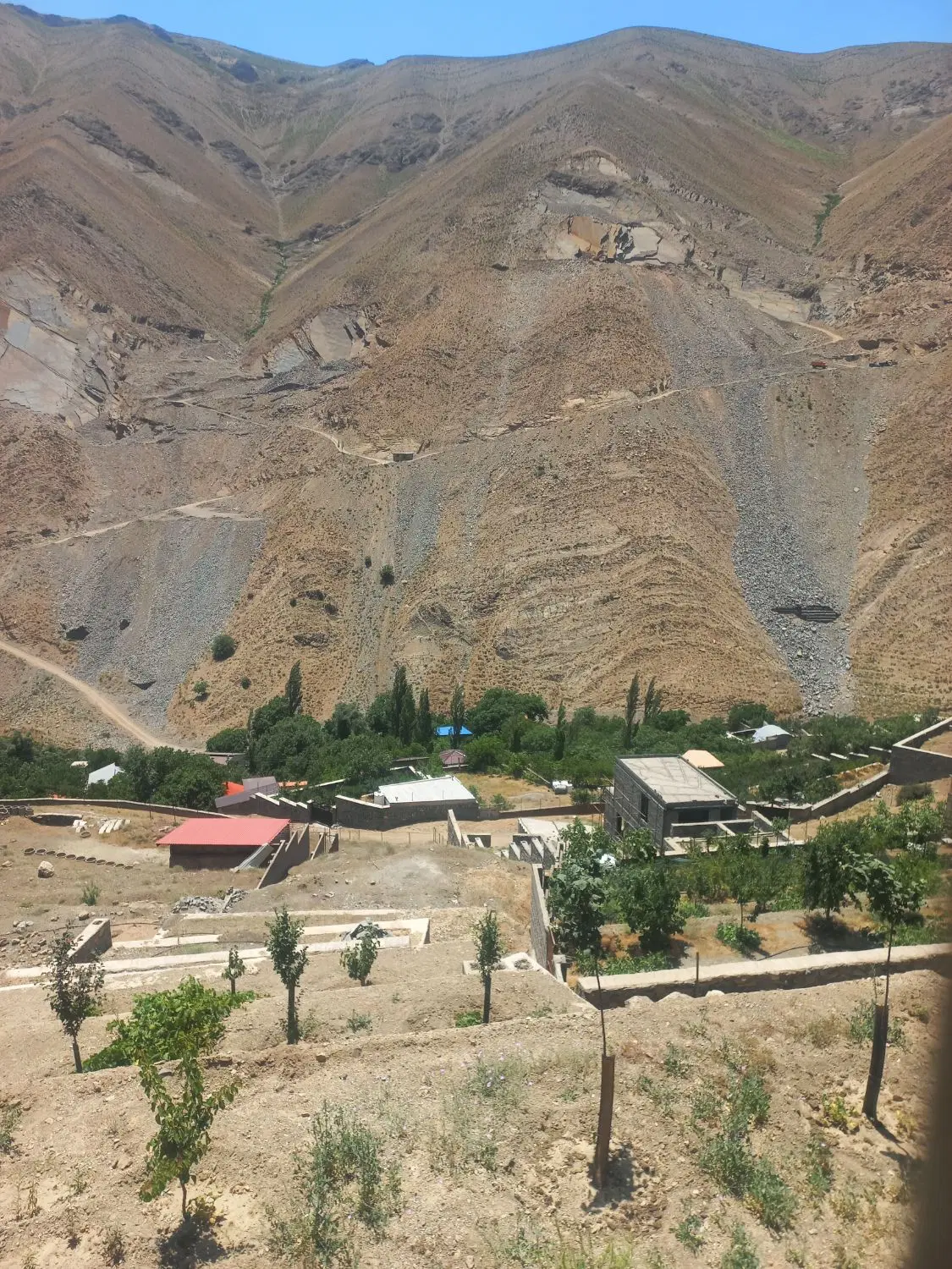 فروش زمین زراعی