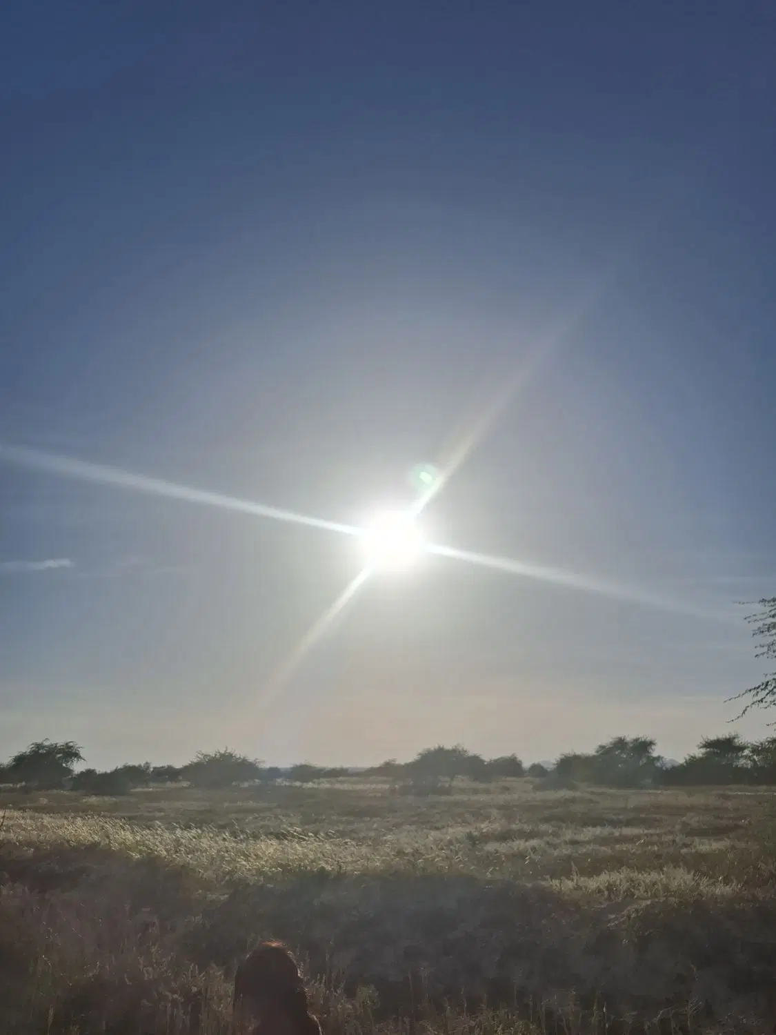 زمین شهرک معلم نشاط دوبر