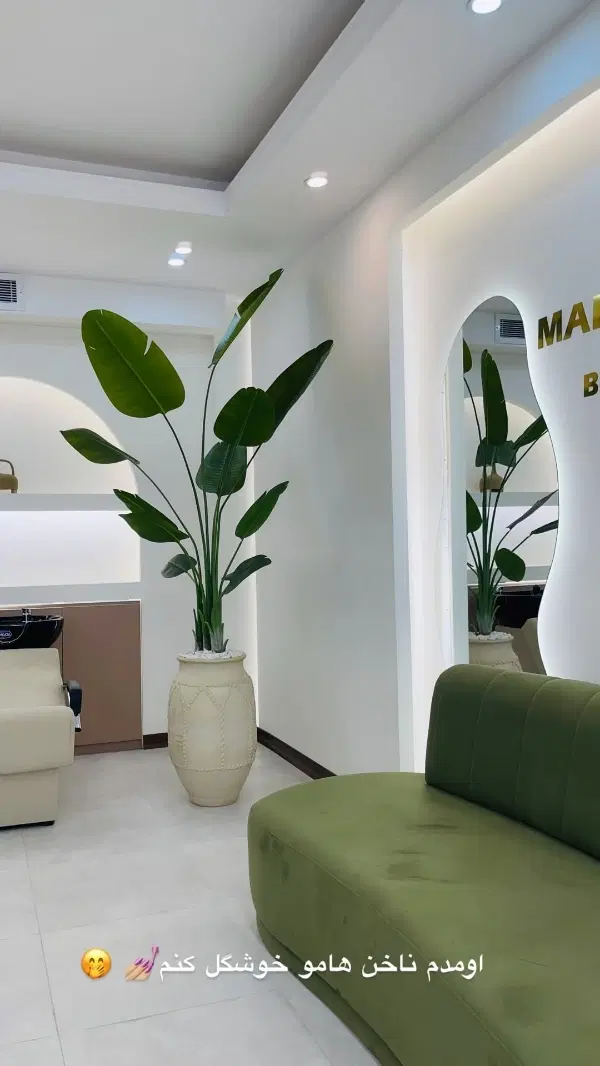 زمین شهیدان محمدی