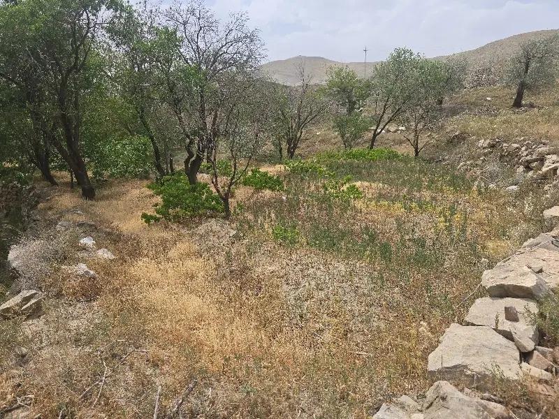 زمین مسکونی فرزند آوری کهک