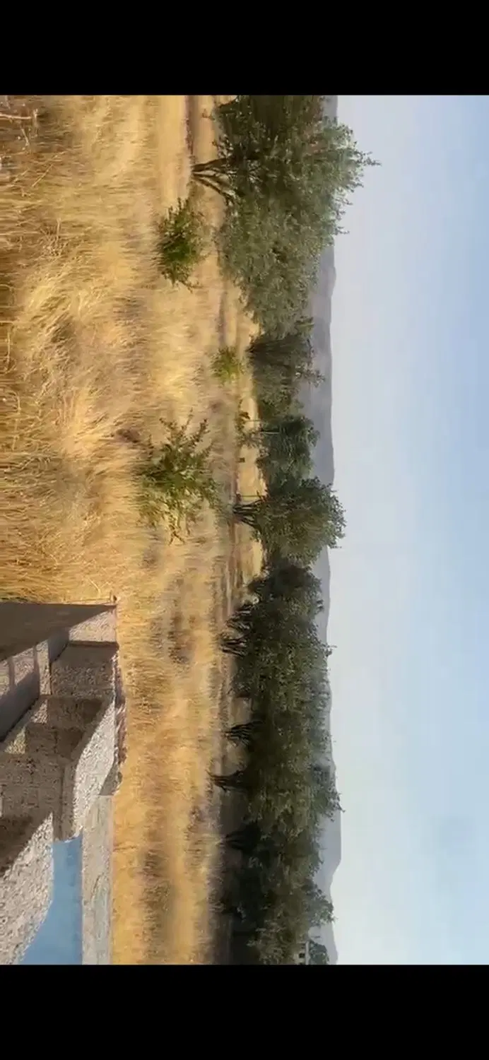 فروش باغ سند کامل