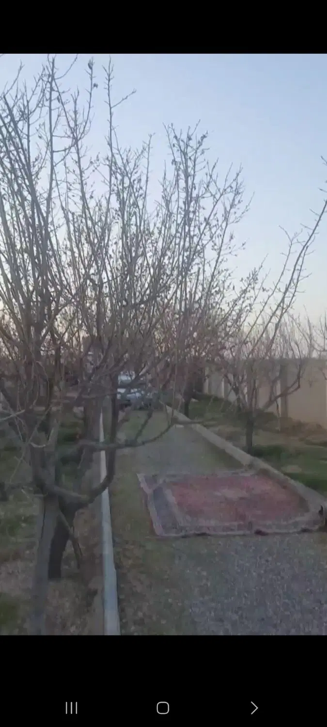 باغ ۱۰۰۰متری دو ر دیوار با نهال ۱۲ ساله