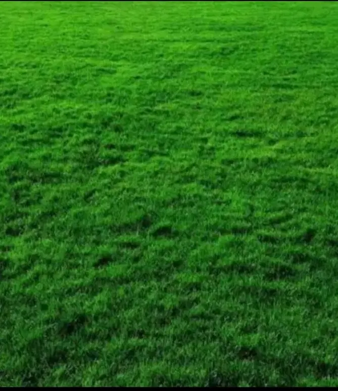 فروش زمین کشاورزی