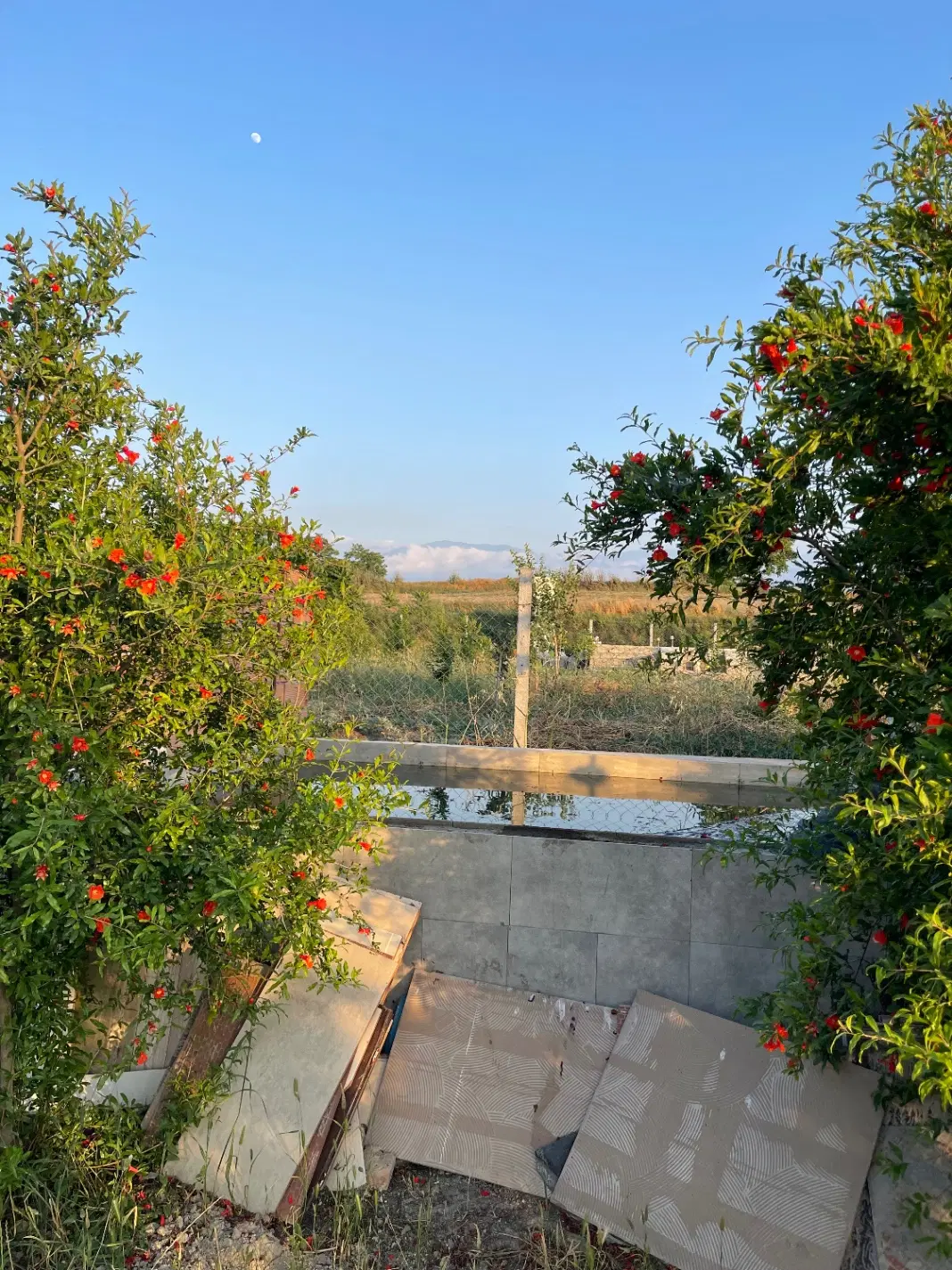 باغ حیدرآباد