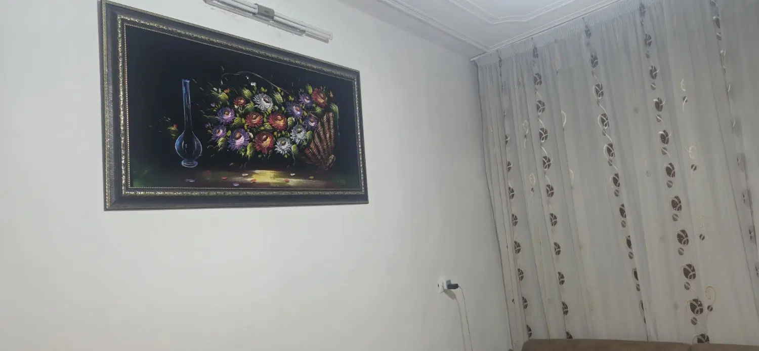 ملک ویلایی با حاشیه ۹ متر