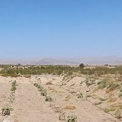 زمین کنار جاده خوسف بیرجند سیوجان