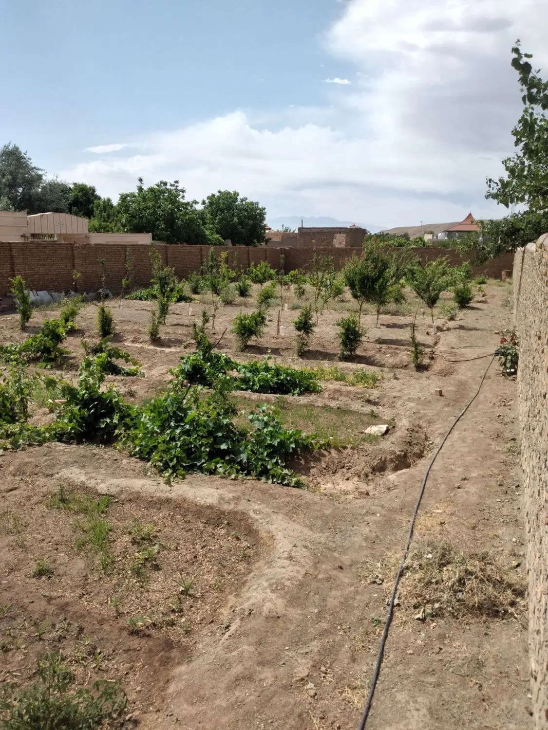 فروش باغ در روستای کسکن