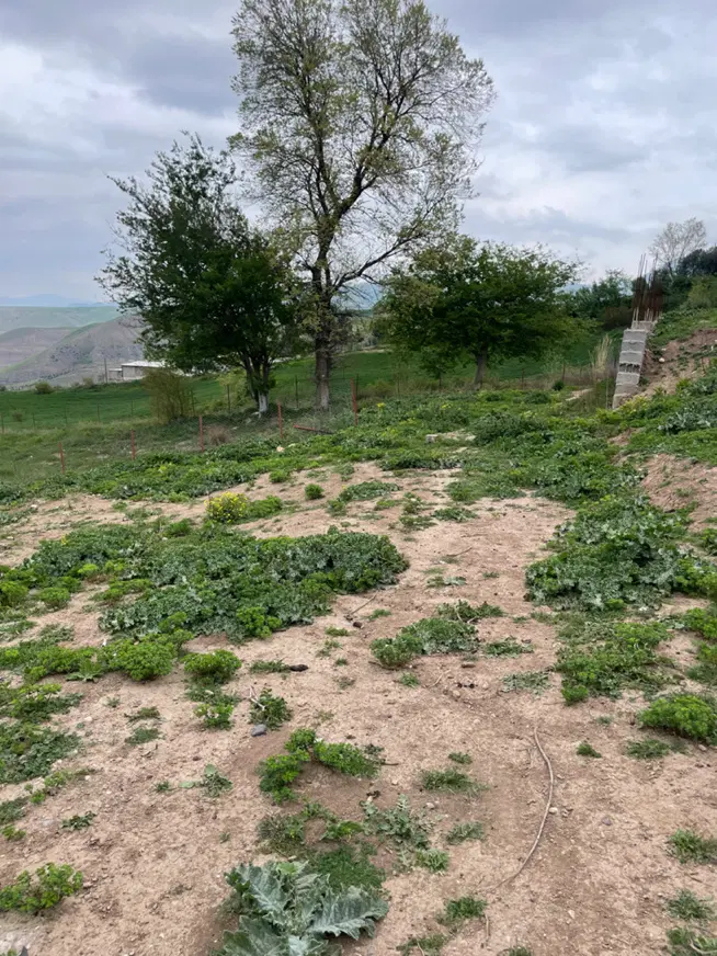 زمین با سند دار متری ۵_۵۰۰