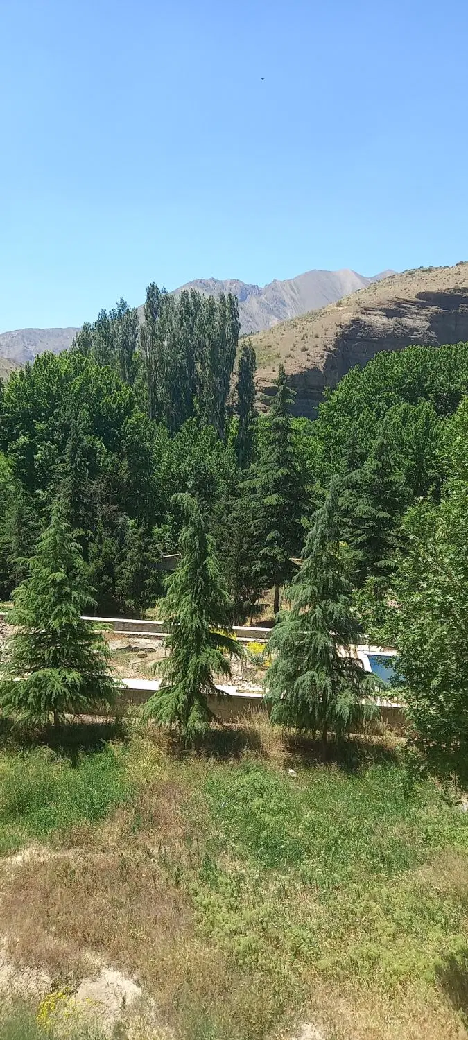 750متر،سند تک برگ