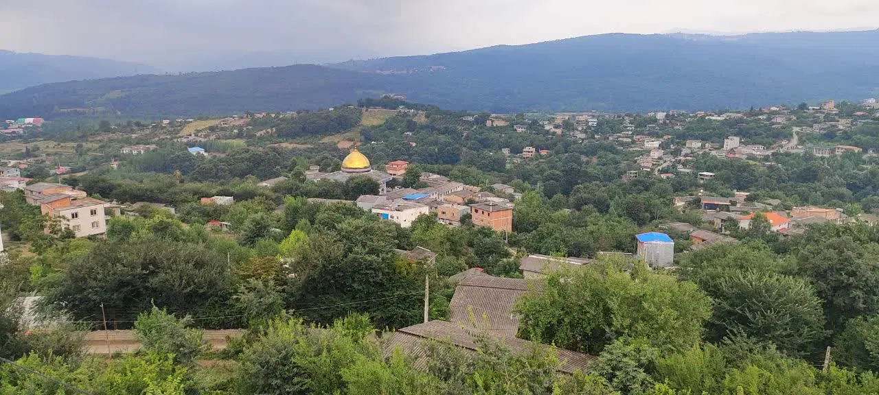 فروش زمین باغ در پهنه کلای شمالی