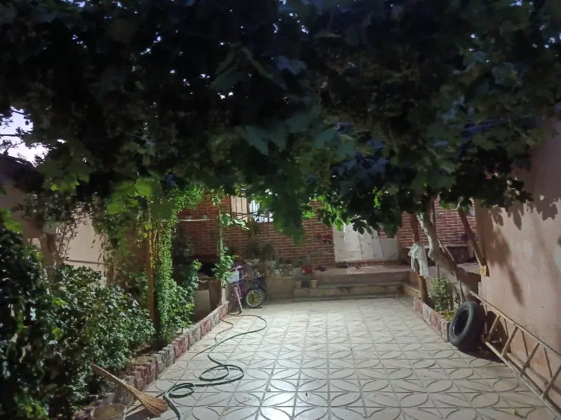 ملکیت(چنگی)