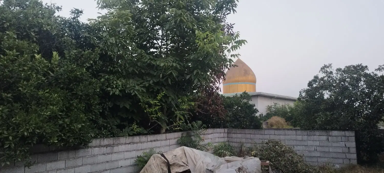 زمین 293 متری منطقه آزاد جویبار