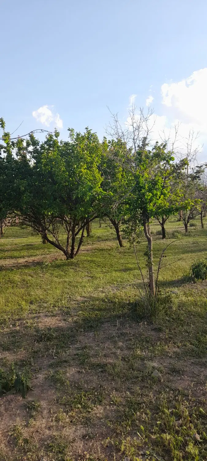 خانه ویلایی  ۱۸۰ متر  تک خوابه در اردبیل