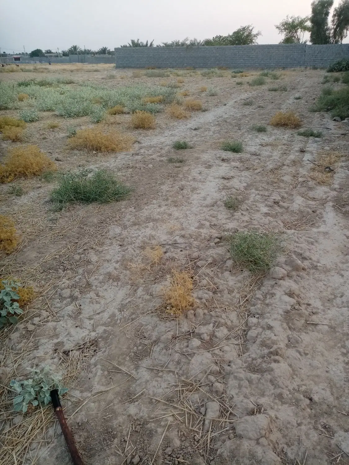 فروش زمین