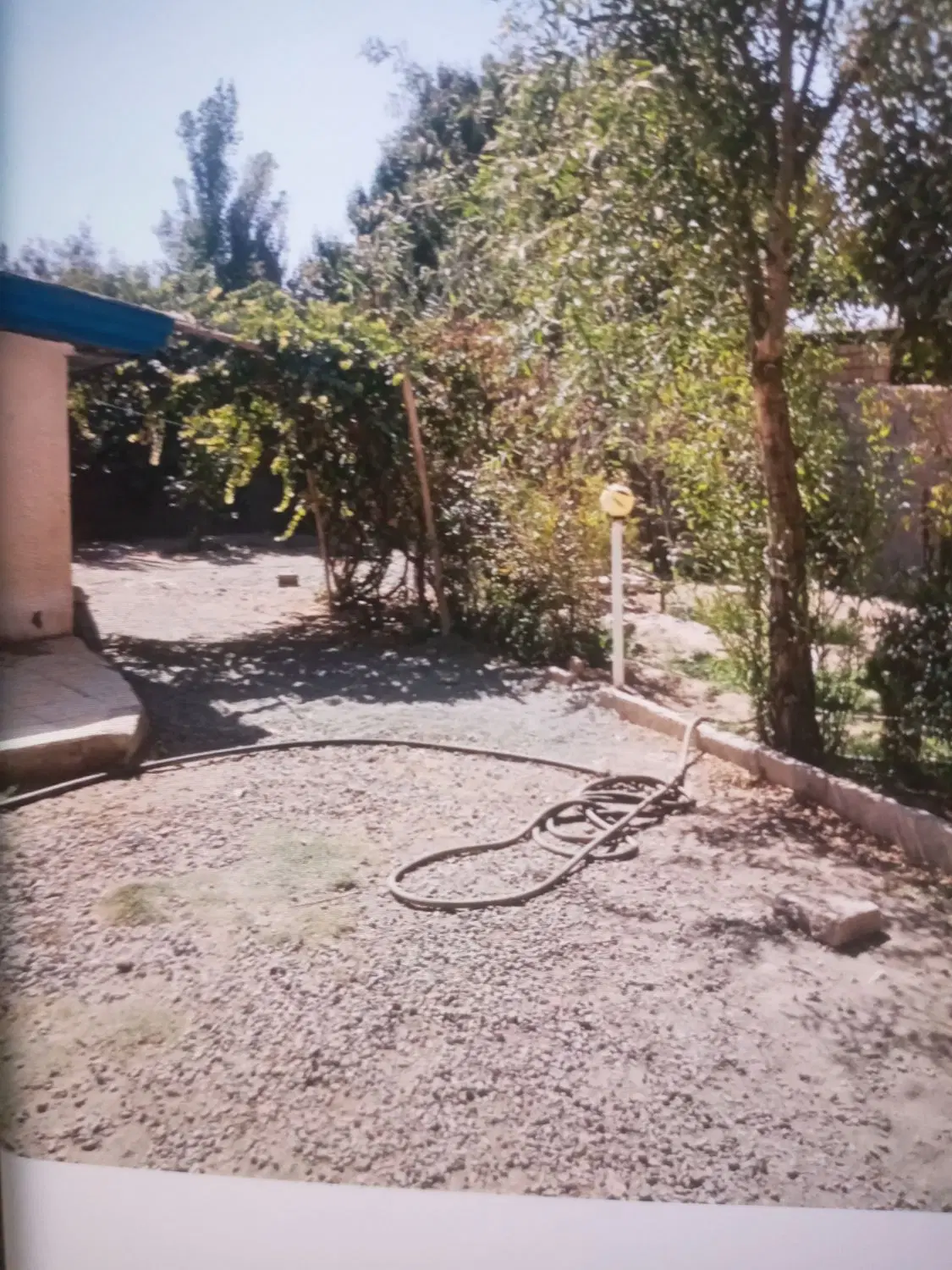 باغ باغچه