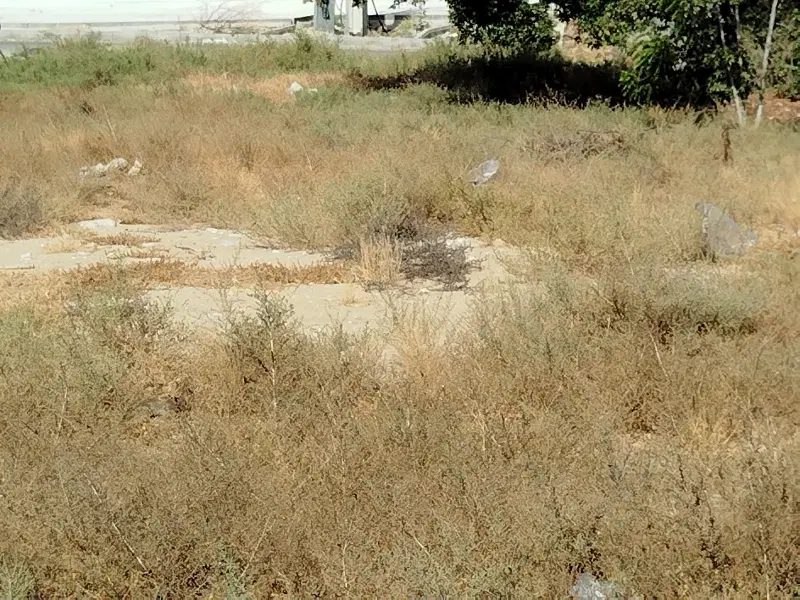 زمین فاز یک شهرک دریا