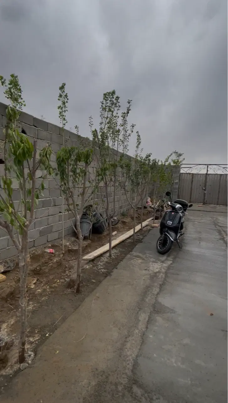 باغچه