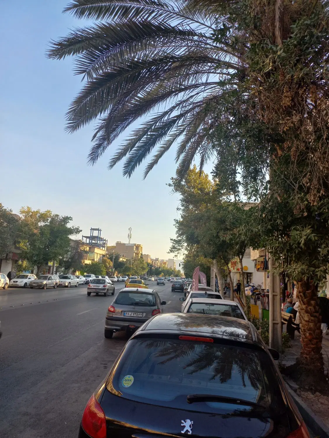 باغشهری  کودیان قره چمن