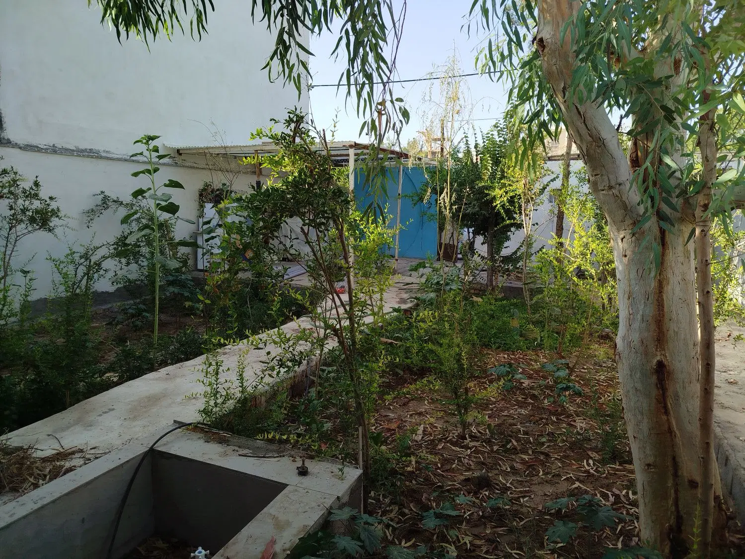 خونه باغ