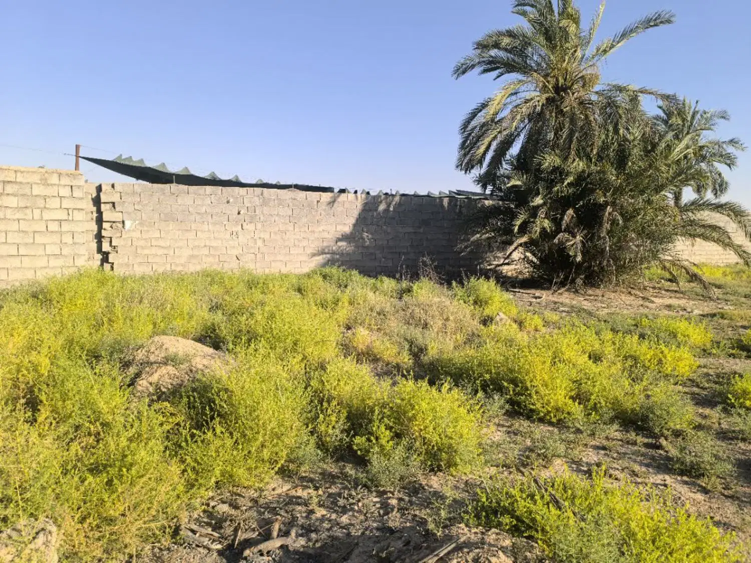 زمین باغ ویلا شوشتر