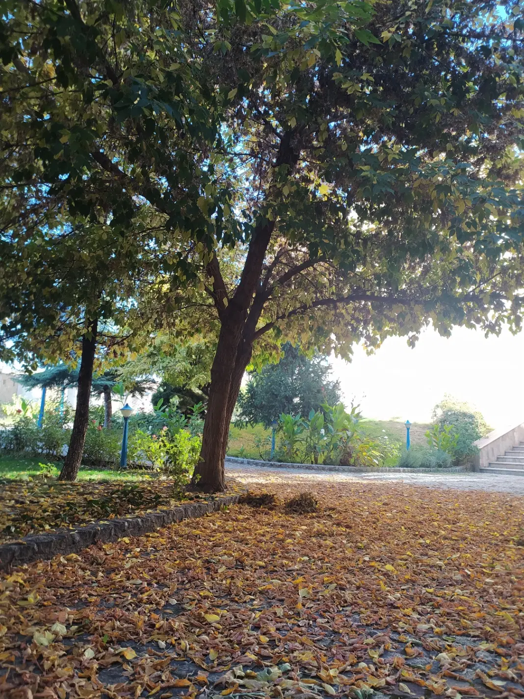 زعفرانیه