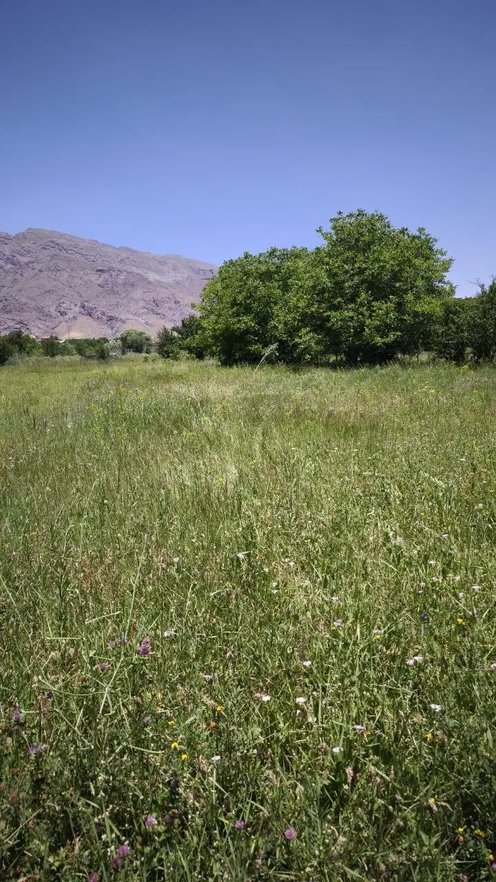 زمین کشاورزی