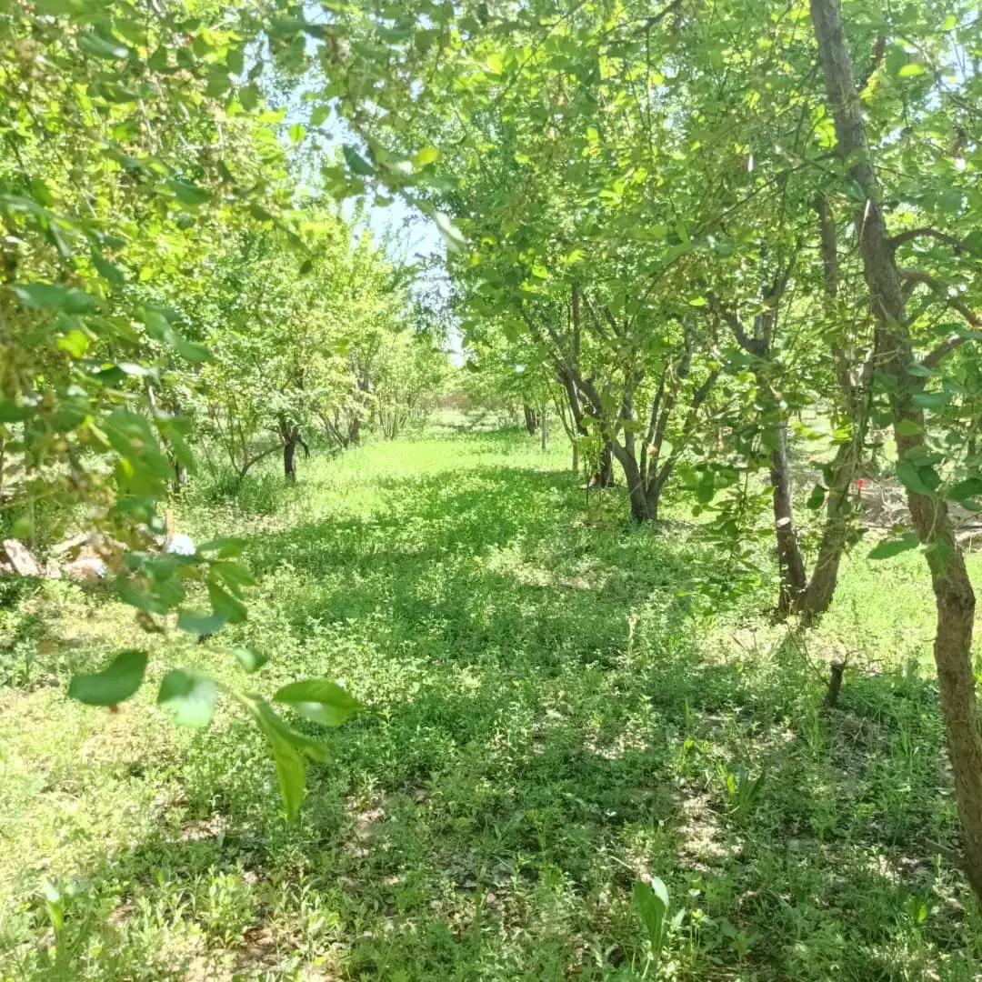 یک قطعه۸۳۰متری دور دیوار باغ در دهکده ویلایی