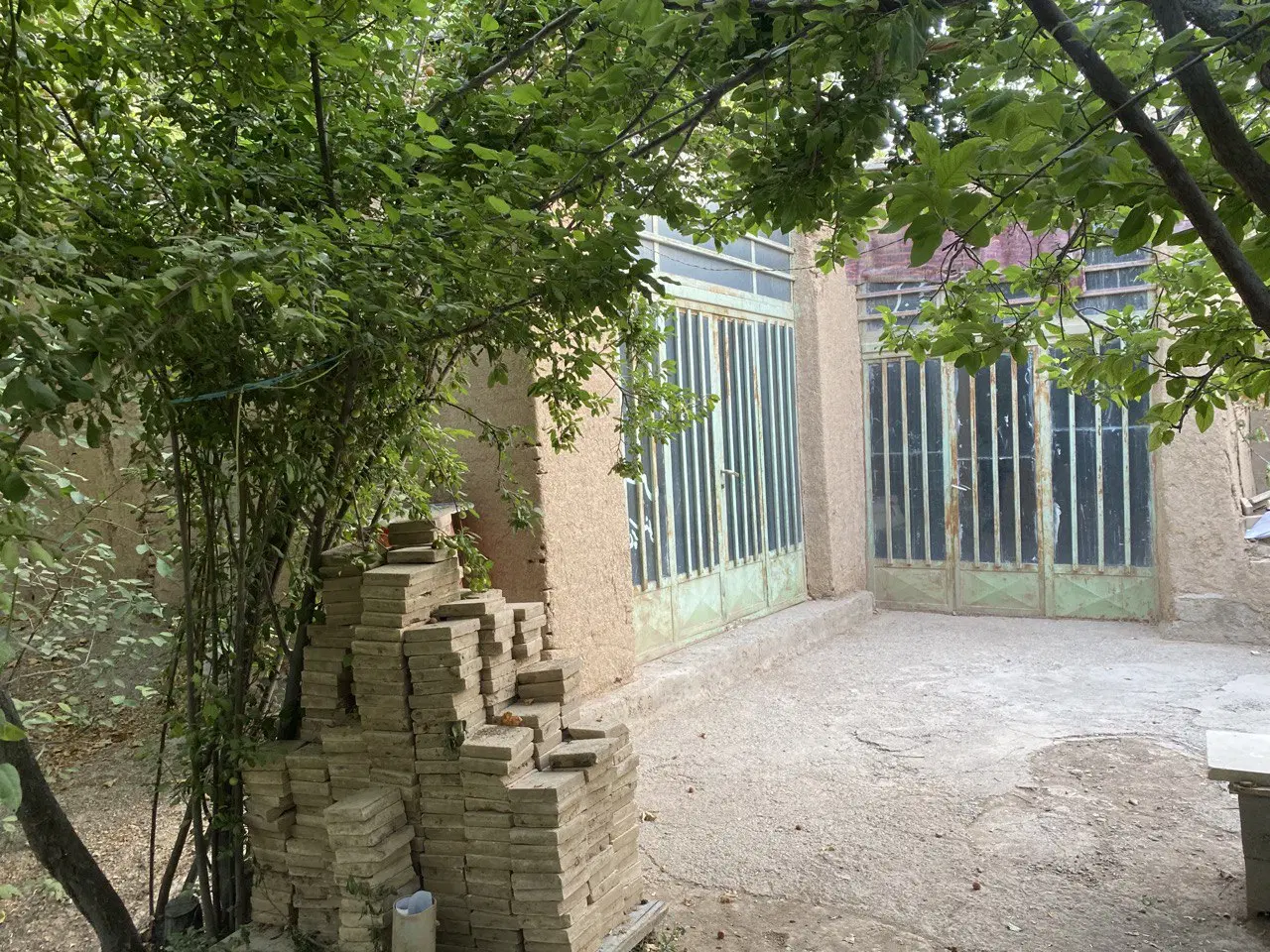 باغ سرسبز با درختان کهنسال