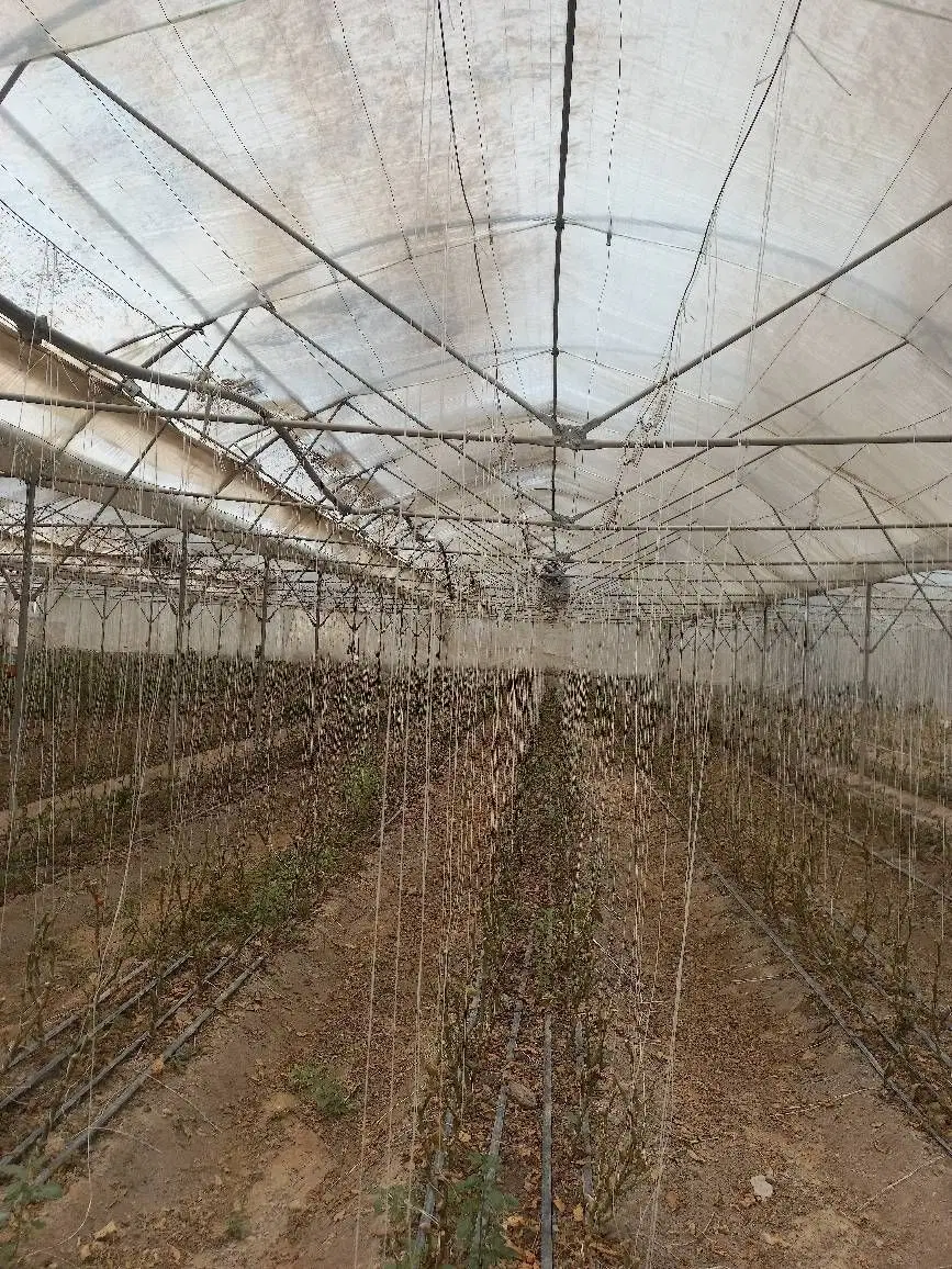 اجاره گلخانه