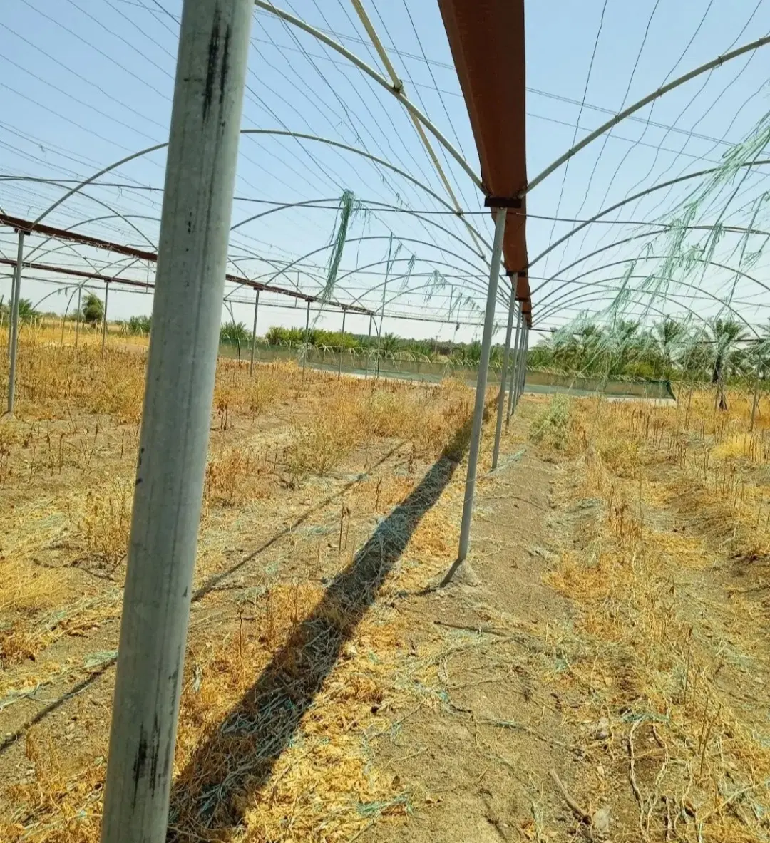 گلخونه برای اجاره