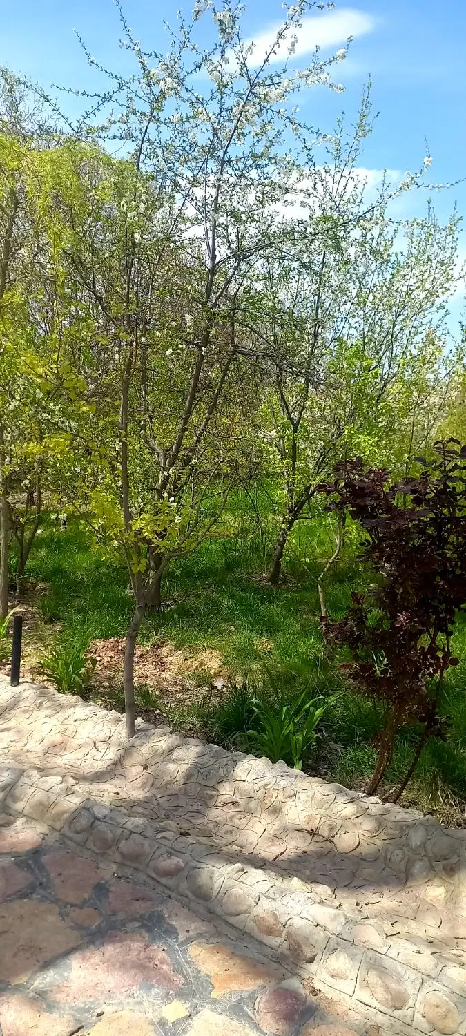 زمین ۲۴۰۰ متر