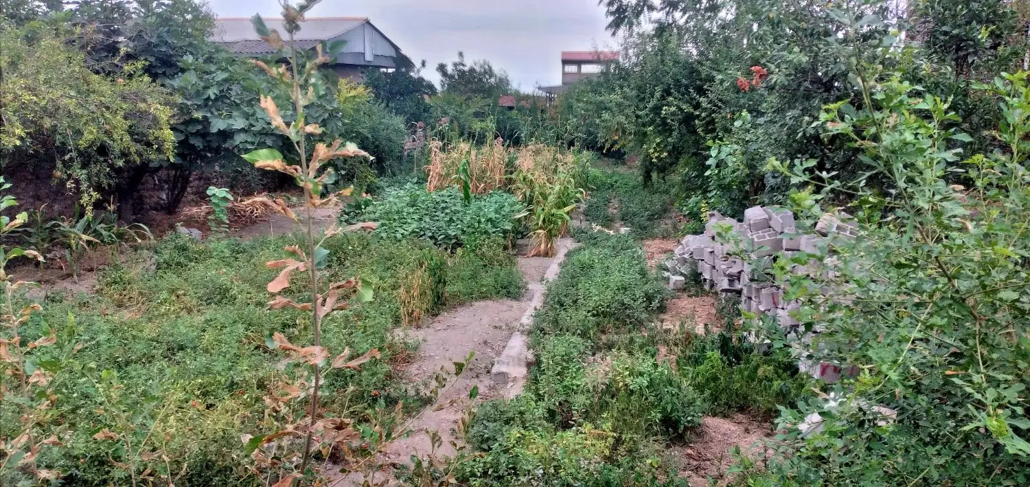 زمین مسکونی
