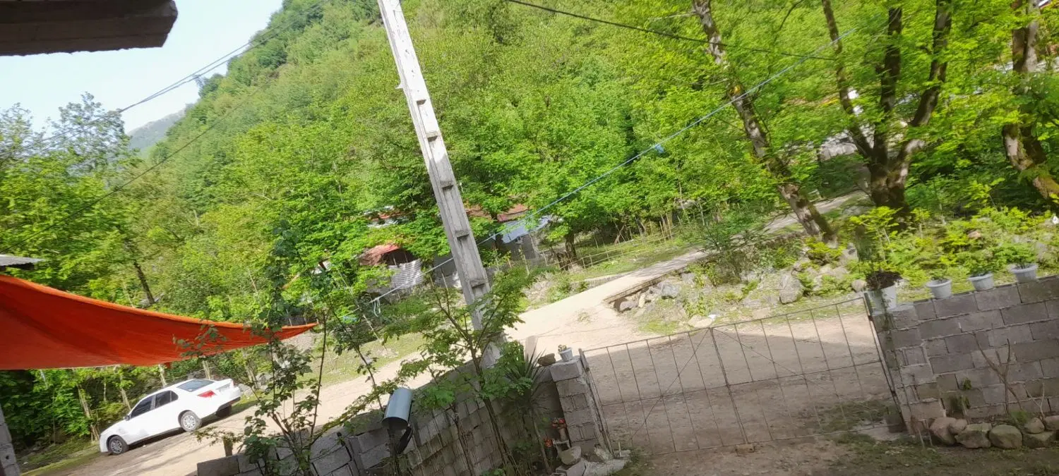ویلادر جنگل