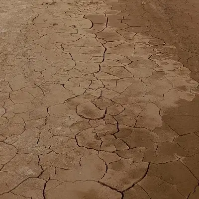 زمین روستایی یادگار