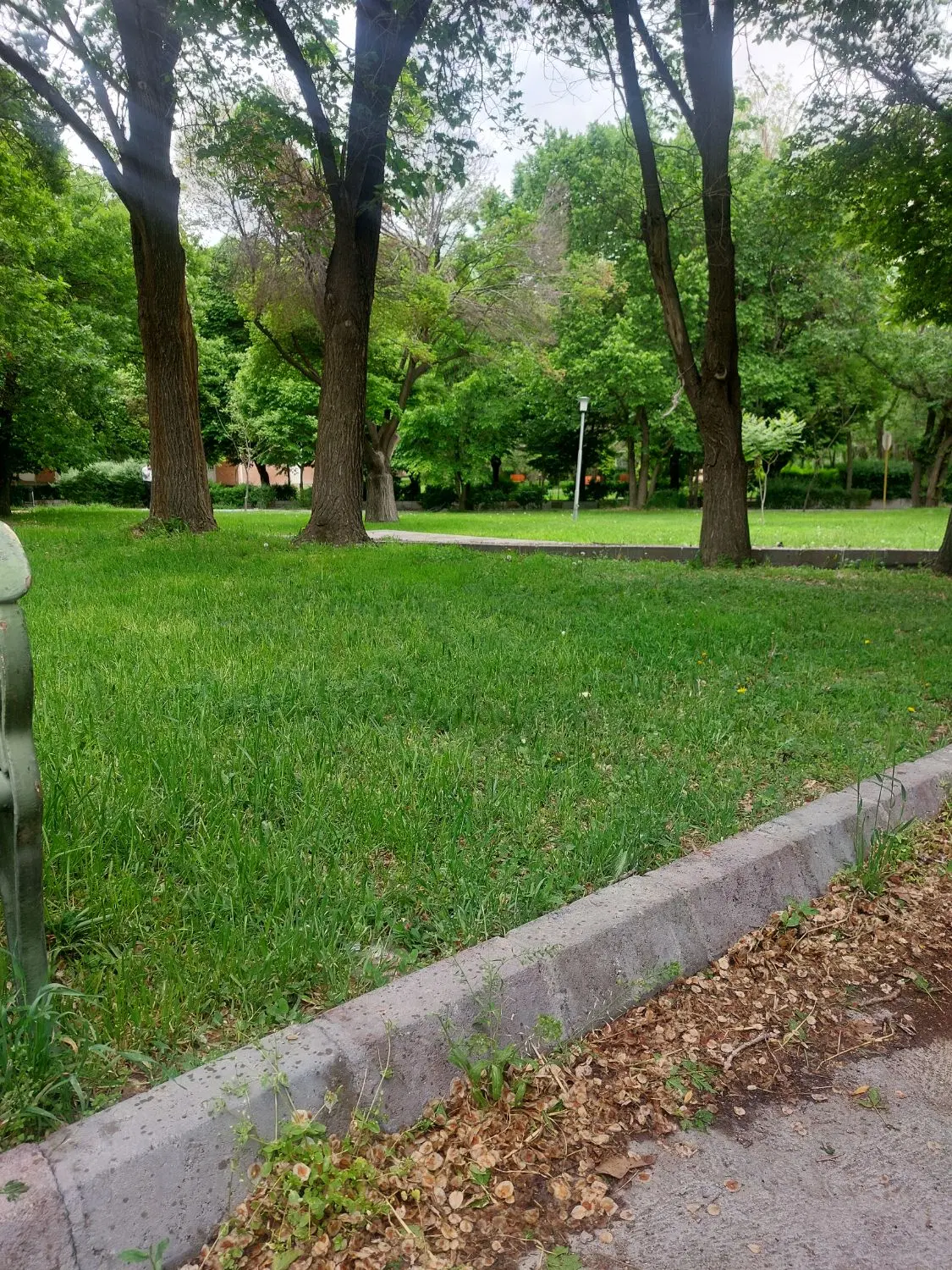 اجاره کوی بسیج