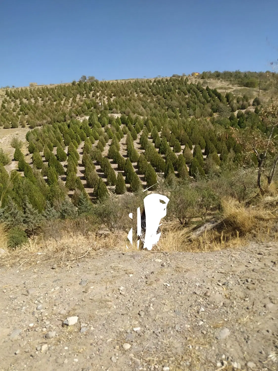 فروش قطعه زمین دارای آب چاه عمیق
