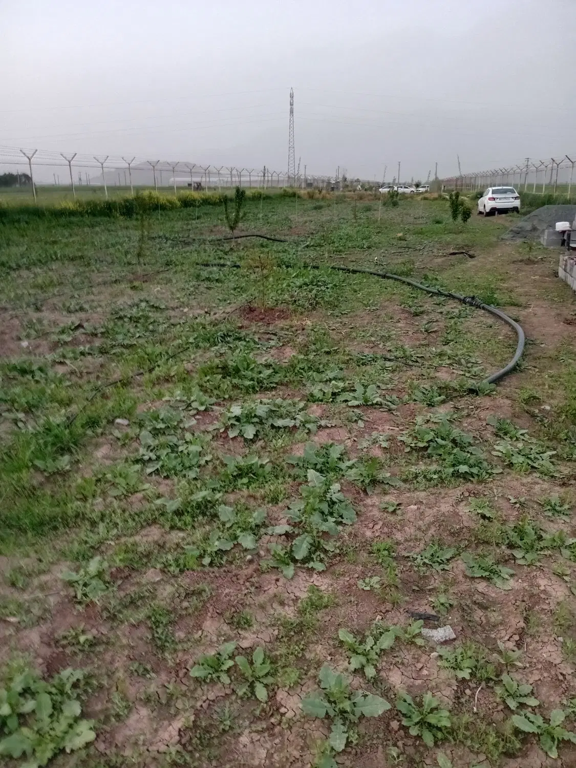 زمین باغی محسور در مجموعه ۷ نفره کارمند
