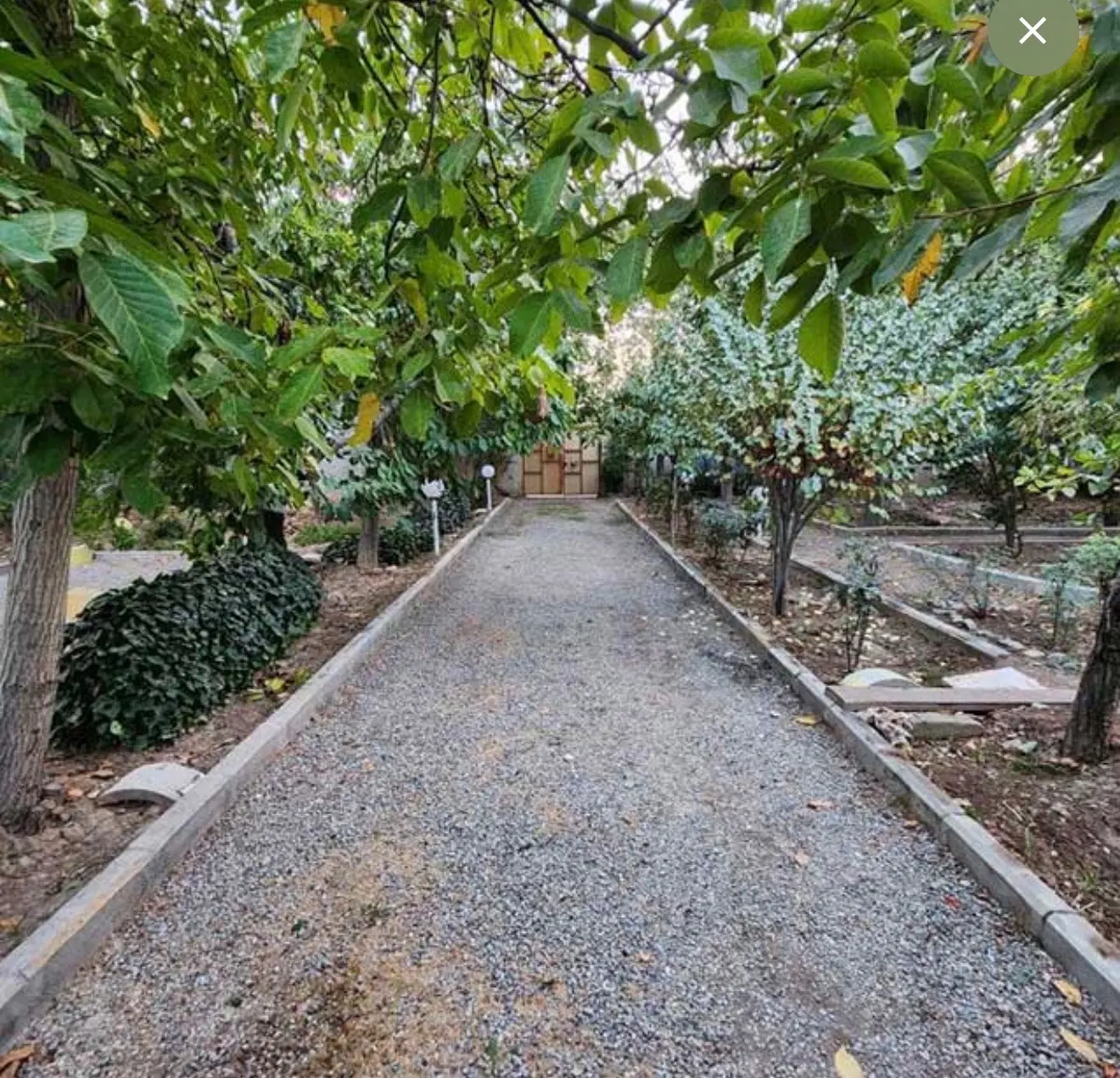 زمین باغ شاندیز زشک