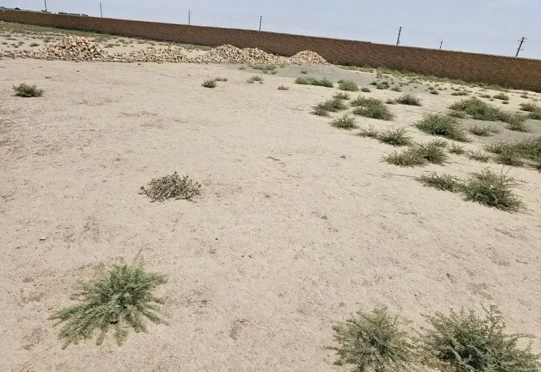 زمین شهرک صنعتی