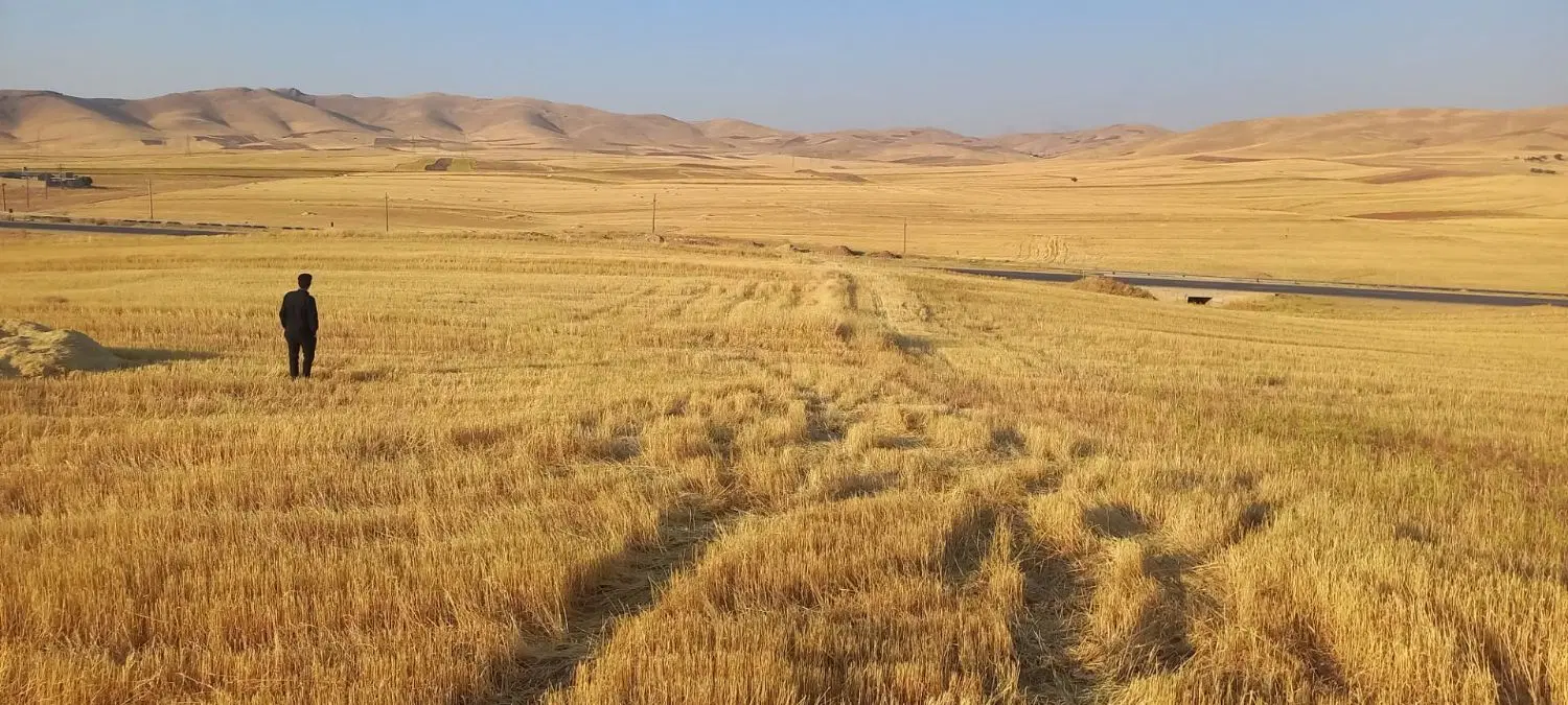 زمین کشاورزی کمربندی غربی